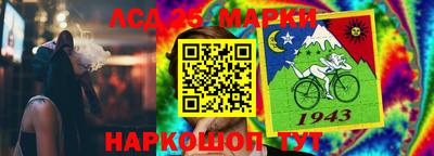 ПСИЛОЦИБИНОВЫЕ ГРИБЫ Можга