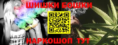 стаф Моздок