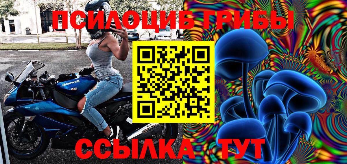 где купить   Вход с VPN  Тимашёвск  Псилоцибиновые грибы GOLDEN TEACHER 